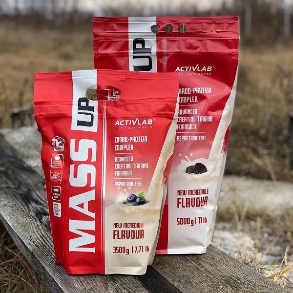 گینر مس اکتیولب ۳ کیلوگرم | Active Lab Mass Up
